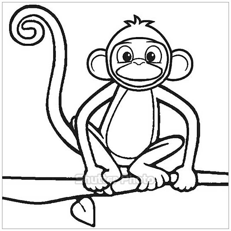 Vẽ Con Khỉ Ngộ Nghĩnh Cho Bé Tập Tô 42 Tranh Tô Màu Con Khỉ Ngộ Nghĩnh  Cho Bé Tập Tô
