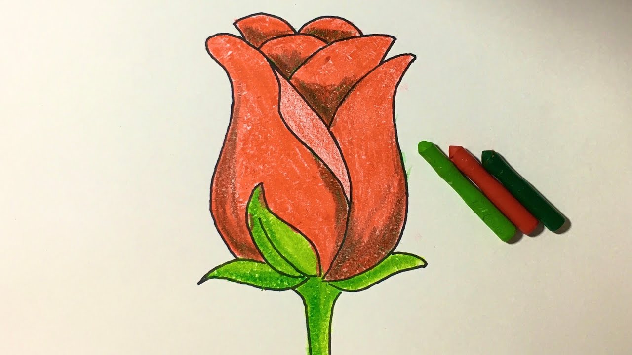 Hình vẽ các loài hoa bằng bút chì  Phần 7
